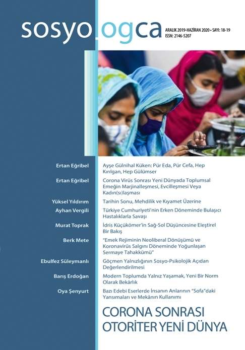 Sosyologca 18-19 - Corona Sonrası Yeni Dünya: Gülnihal Küken Anısına kapağı